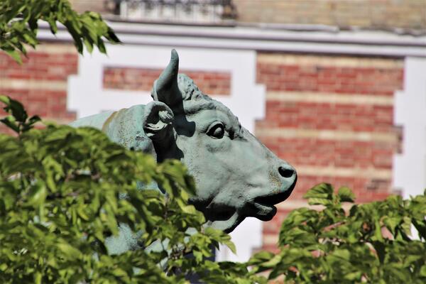 gaimard-sculpture-4493024