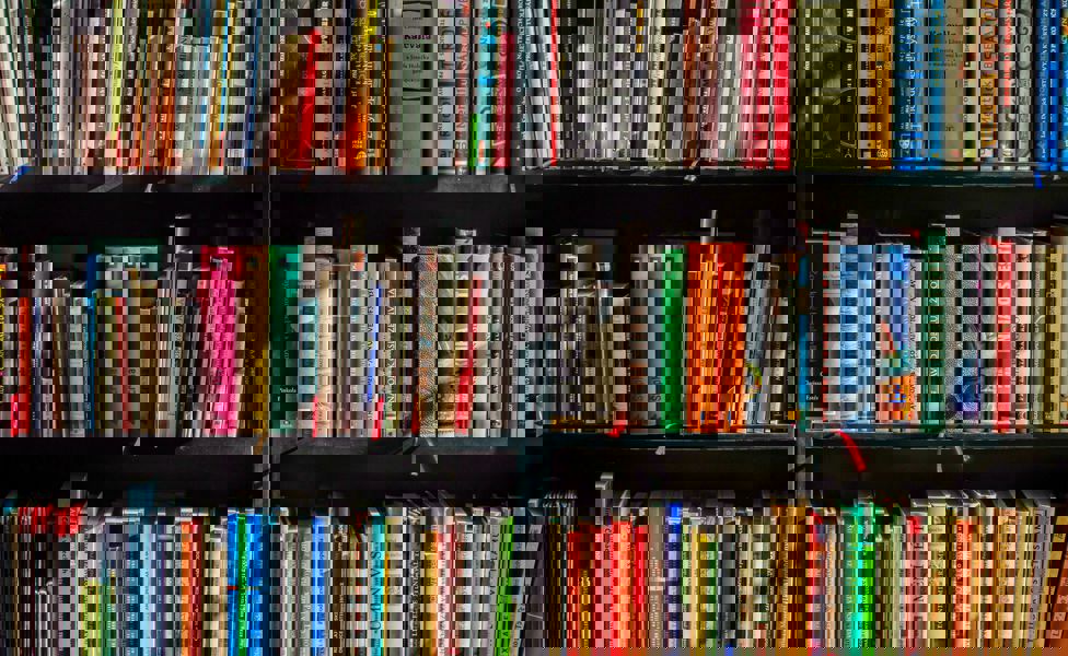 volle-baerig-pexels-pixabay-159711