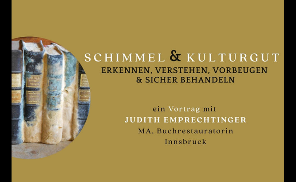 schimmel-600-x-400-px